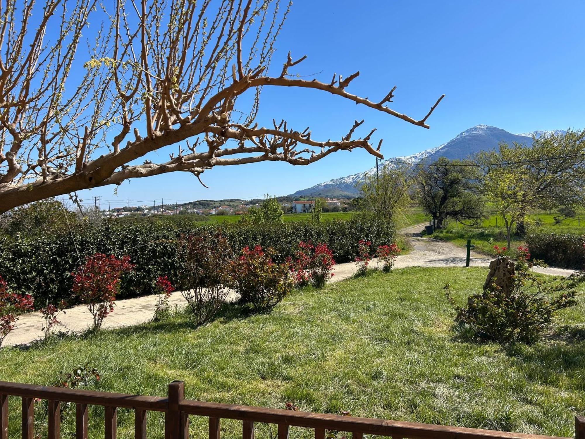 Akrotiri Studios Samothráki Dış mekan fotoğraf